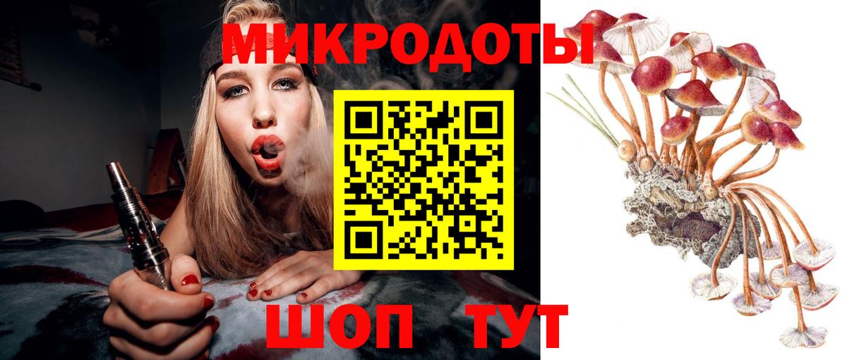 Псилоцибиновые грибы Psilocybine cubensis  Вход с VPN  Вичуга  Галлюциногенные грибы мухоморы 